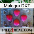Malegra DXT 13